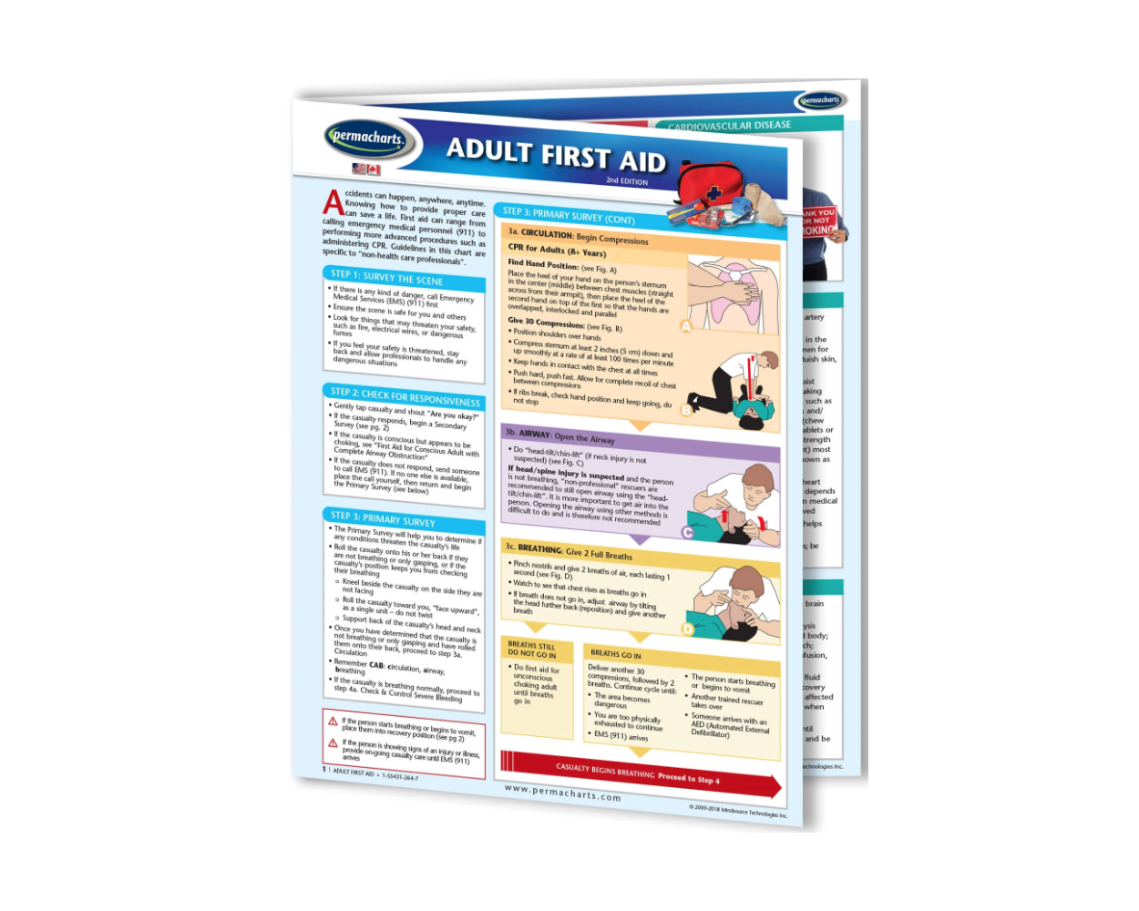 Buy Adult First Aid Chart - First Aid, CPR and Choking Quick Reference ...